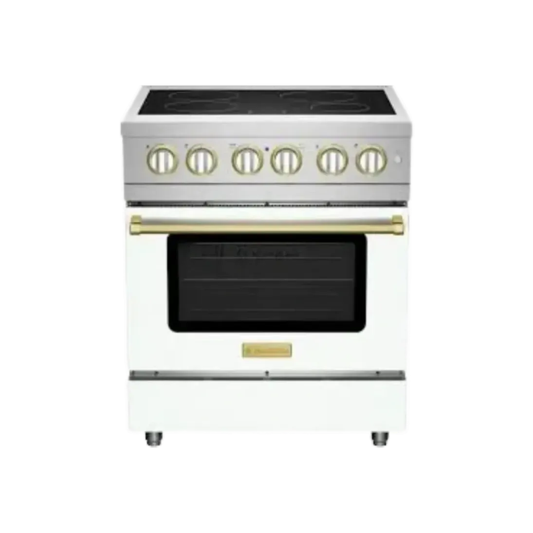 BlueStar Professional Repair NYC